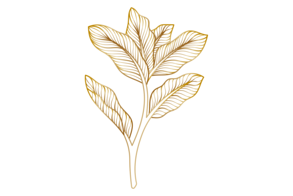 Golden Line Botany Graphics and Illustrations Review