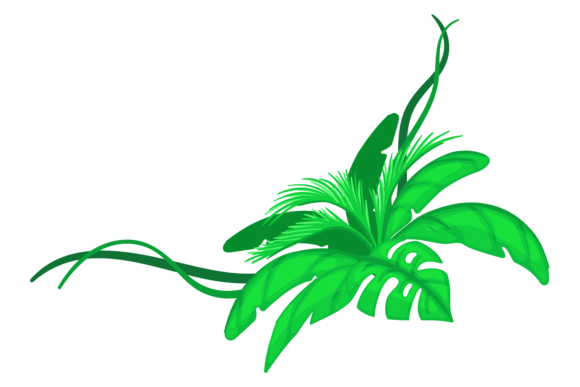 Green Tropical Corner Graphics and Illustrations Review
