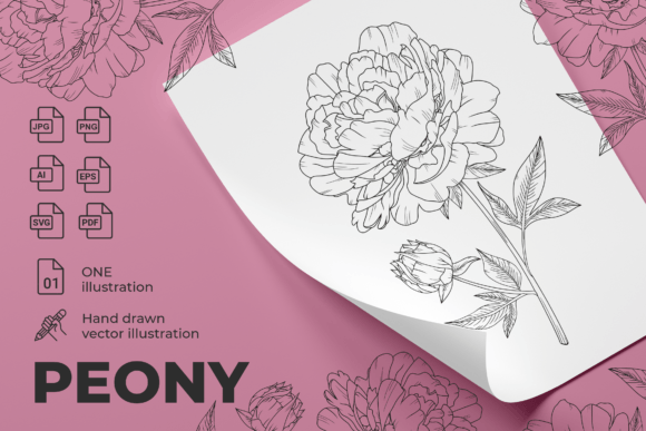 Peony Floral Line Art Vector for Graphics and Illustrations