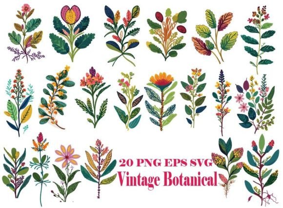 Vintage Botanical Floral Graphics and Illustrations Review